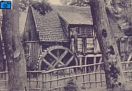 Powi�kszenie.
Foto. nr 9B.
Zbiory prywatne.